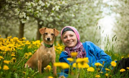 team, woman, dog, human, pet, portrait, animal, a dog-human team, teamwork, together