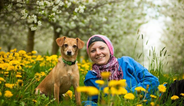 team, woman, dog, human, pet, portrait, animal, a dog-human team, teamwork, together